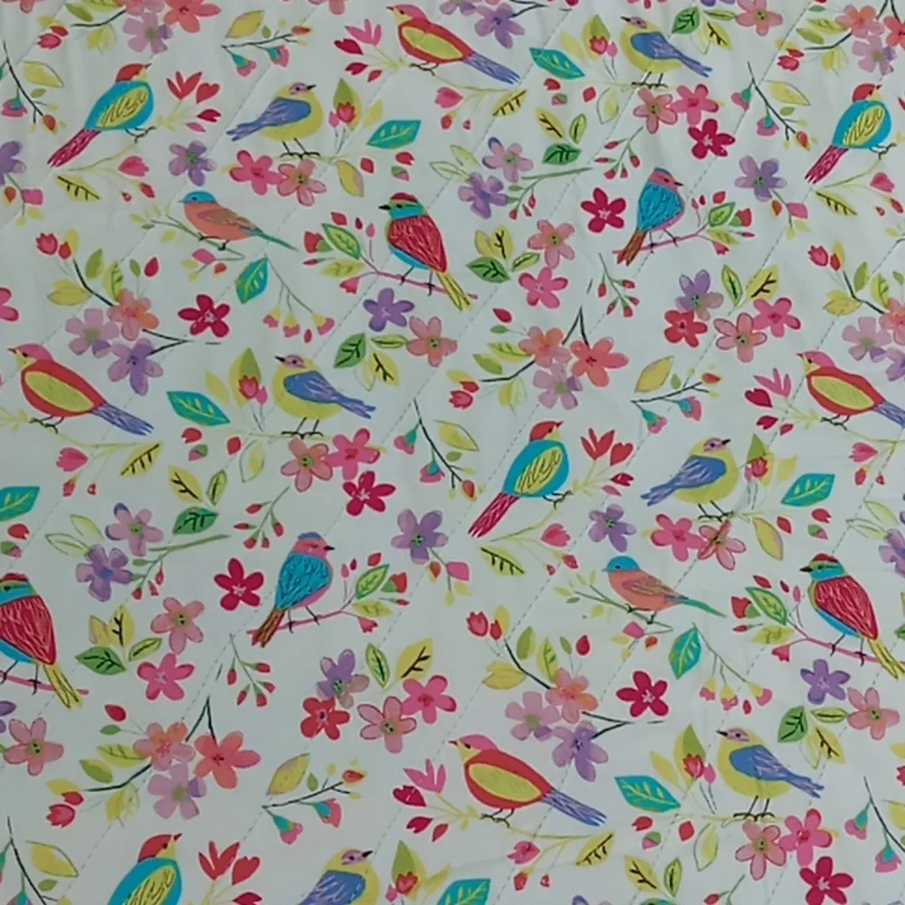 The Piecemaker Chapter Of The Quilting Guild Of The Villages Patchwork Quilt